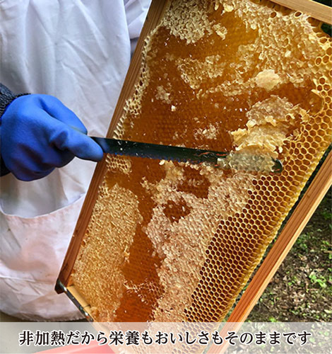 非加熱だから栄養もおいしさもそのままです