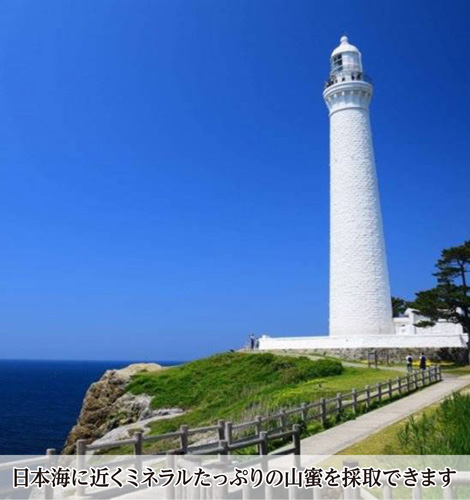 日本海に近くミネラルたっぷりの山蜜を採取できます